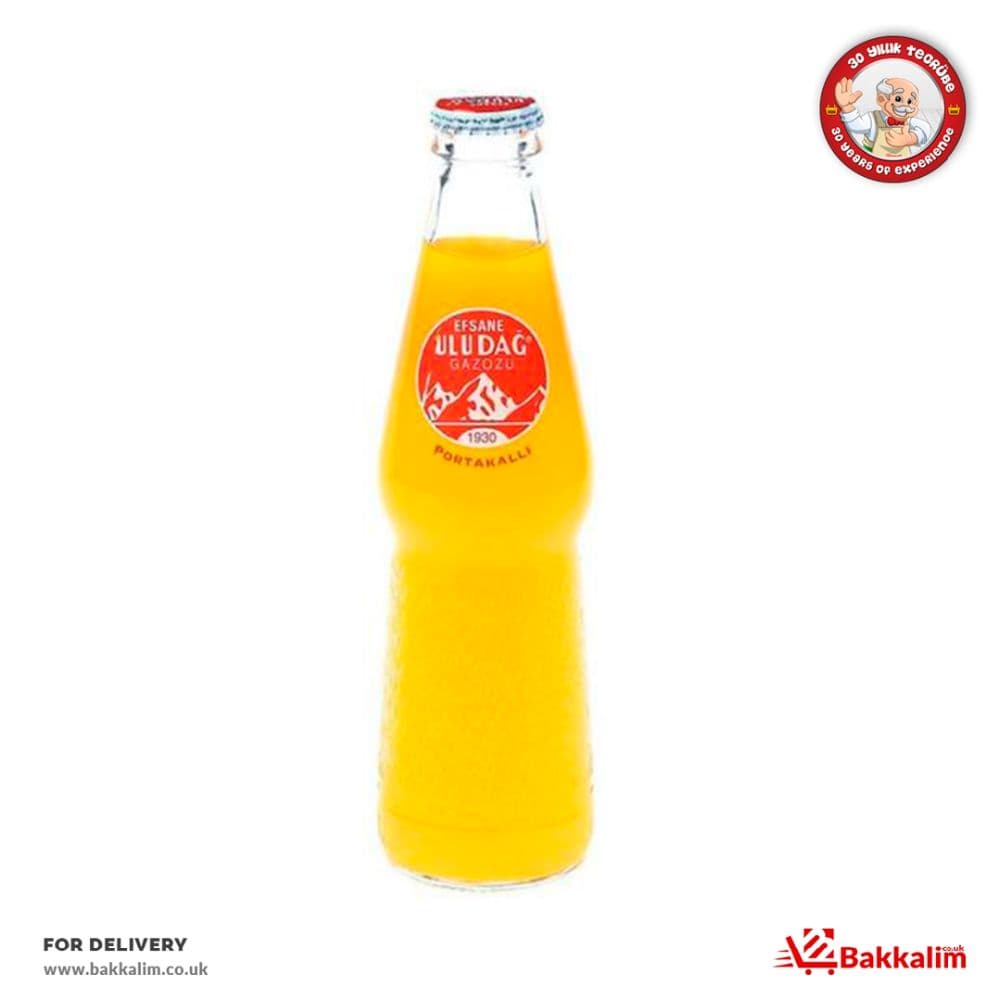 Uludag 250 MlGazoz Orange Flavoured Carbonated Soft Drink 